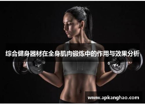 综合健身器材在全身肌肉锻炼中的作用与效果分析