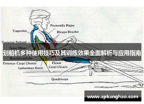 划船机多种使用技巧及其训练效果全面解析与应用指南